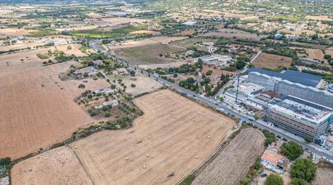 Photo 5 of Land for sale in Pere Garau,  Palma de Mallorca