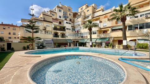 Foto 2 de Estudio en venta en  Marcelina, Nueva Torrevieja, Torrevieja