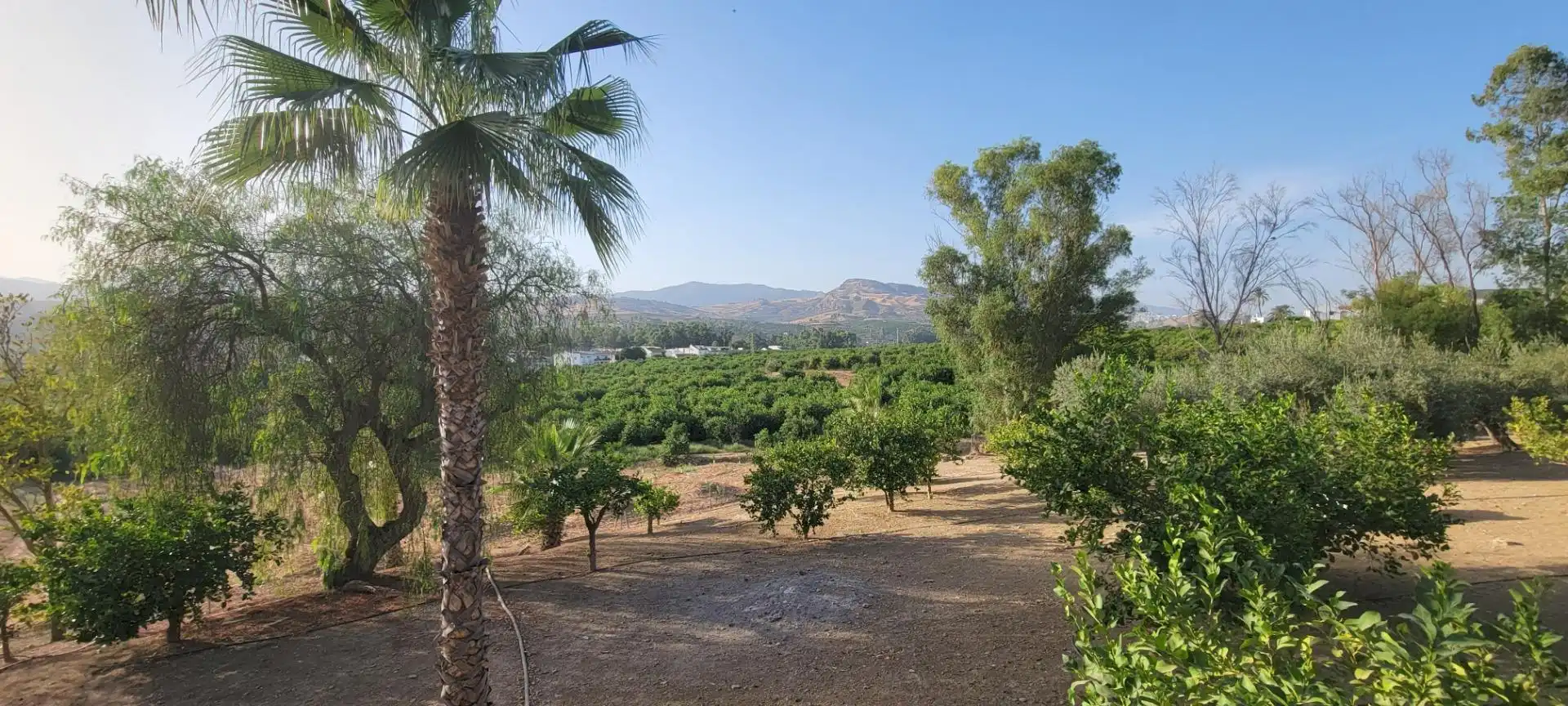 Vista exterior de Finca rústica en venda en Pizarra amb Aire condicionat, Calefacció i Piscina