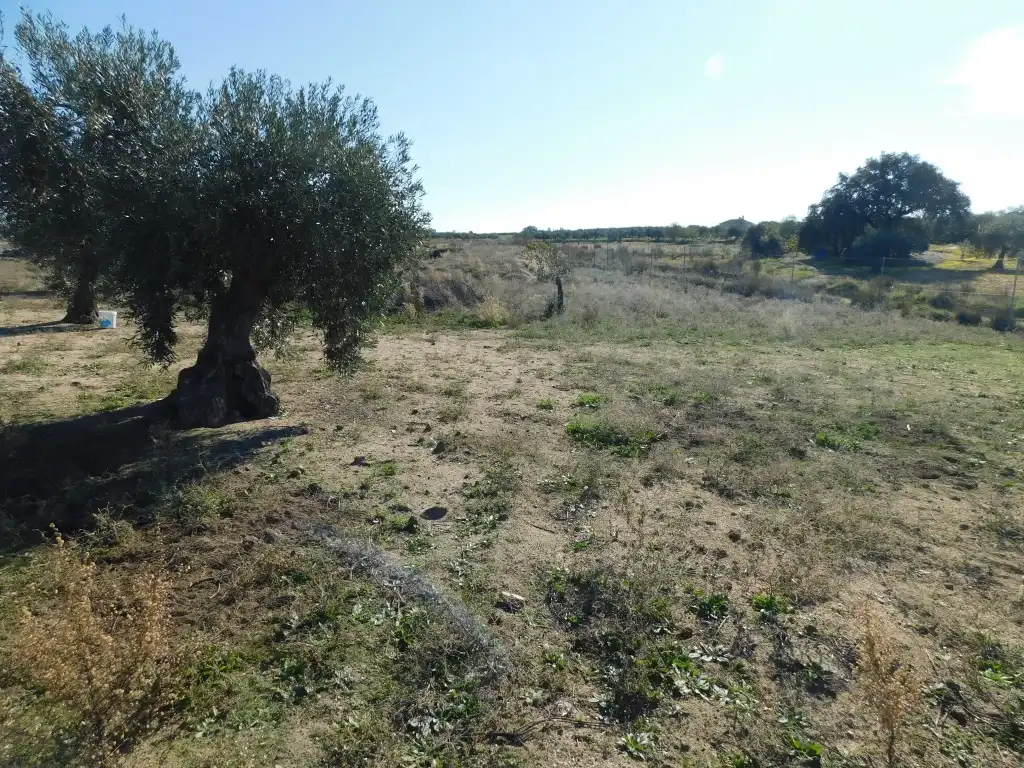 Casa o chalet en venta en La Haba  con Jardín privado y Trastero