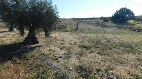 Foto 3 de Casa o xalet en venda a La Haba , Badajoz
