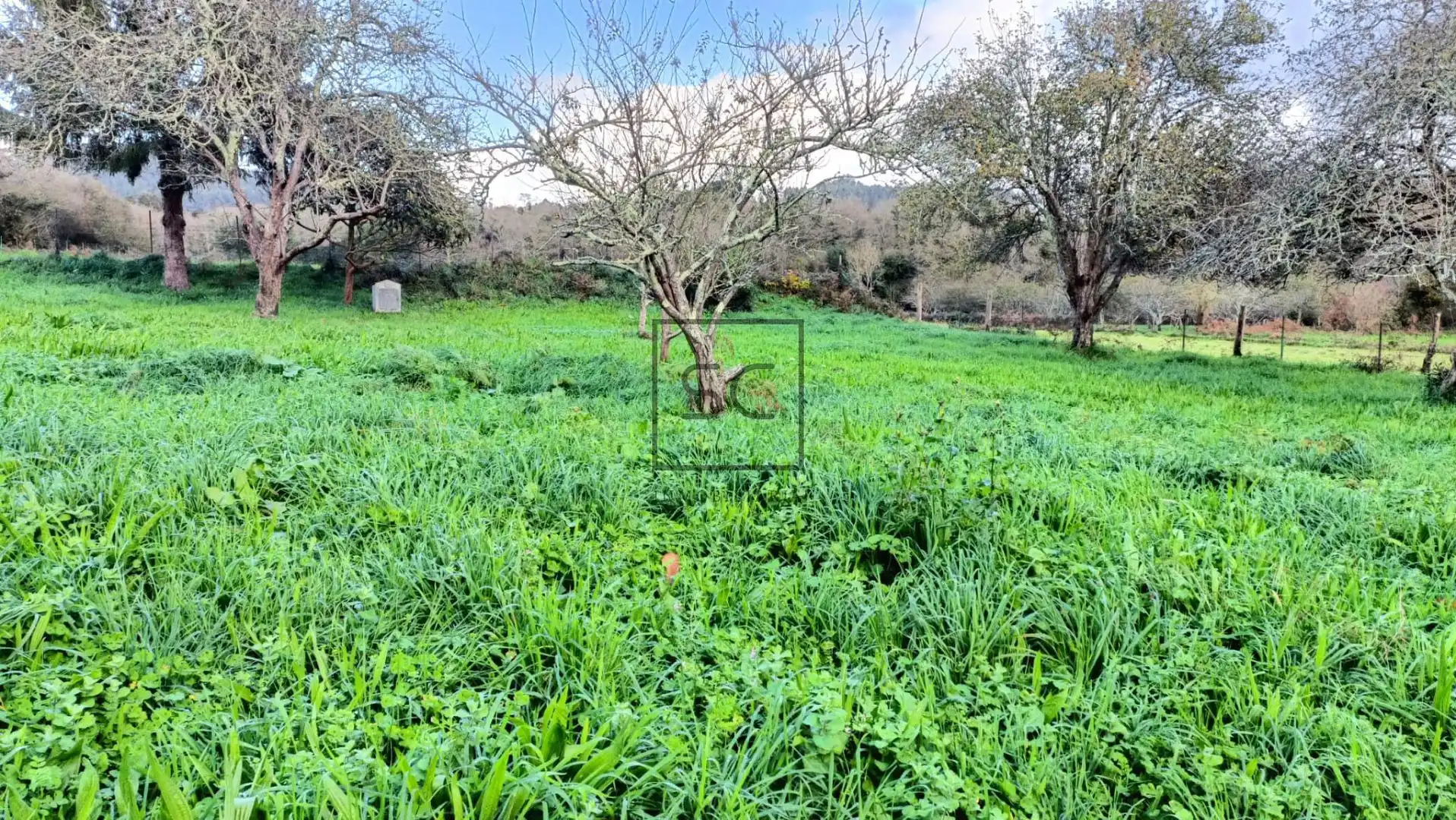 Casa o chalet en venta en San Sadurniño con Jardín privado y Terraza