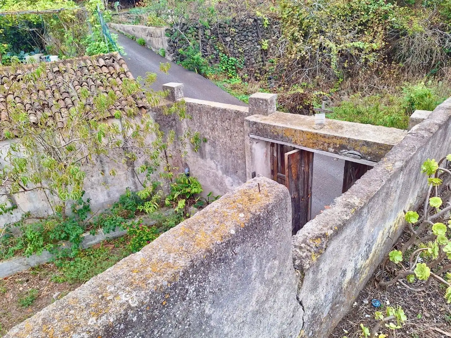 Vista exterior de Finca rústica en venda en Icod de los Vinos
