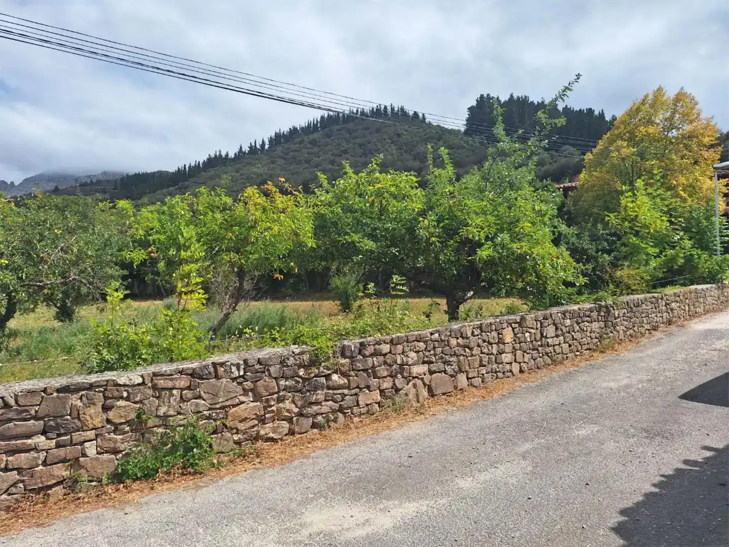 Residencial en venta en Cillorigo de Liébana