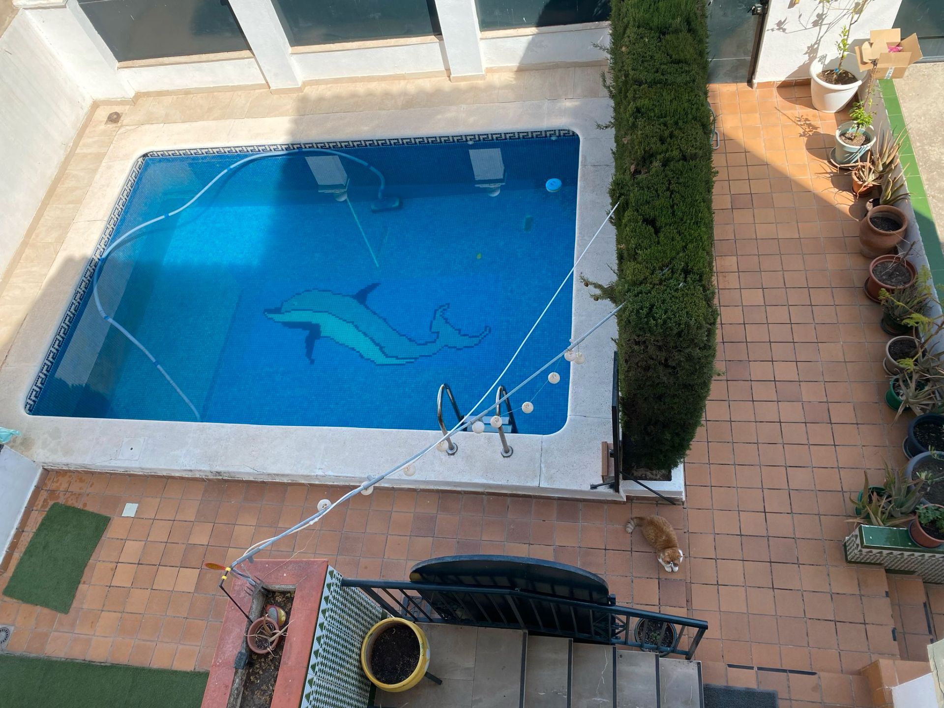 Swimming pool of House or chalet for sale in Churriana de la Vega  with Private garden, Terrace and Swimming Pool