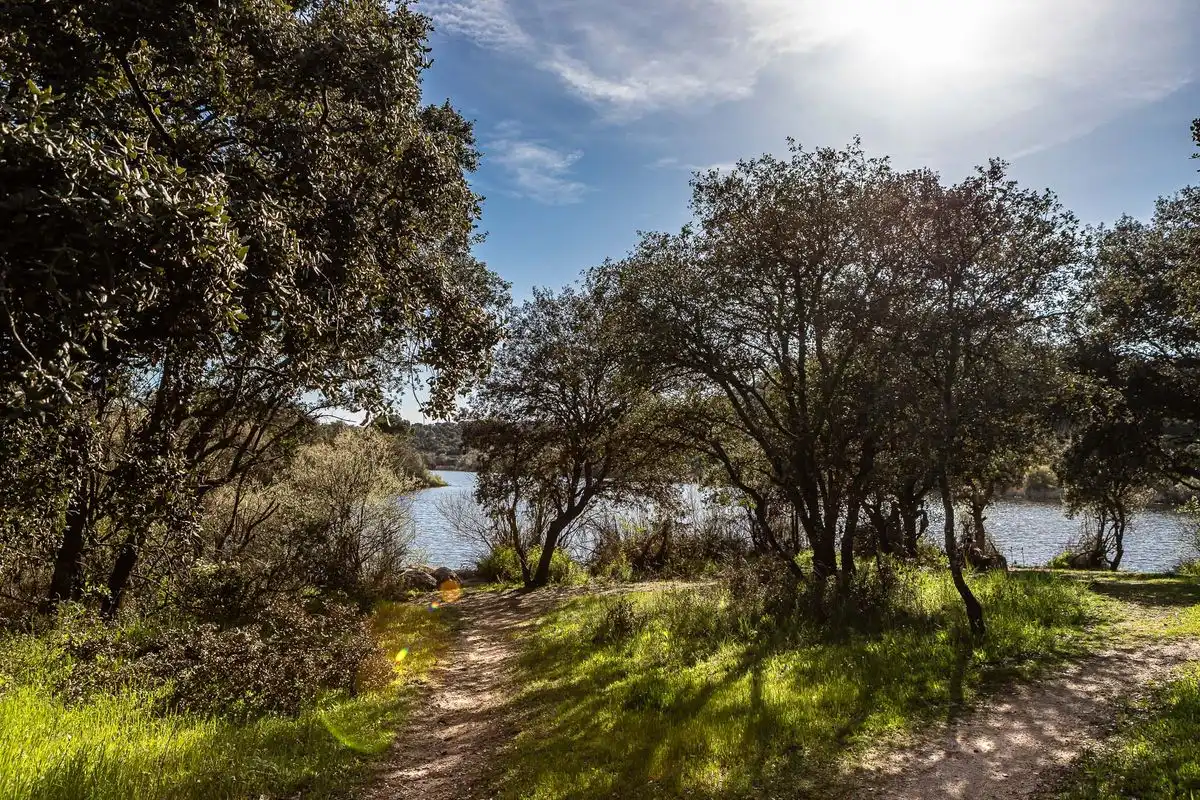 Villa mit Terrasse zum Verkauf in Cerro Alarcón, imagen 76