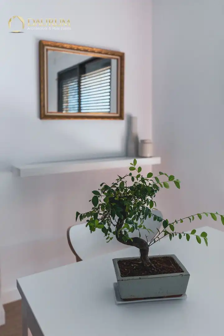 Piso con ascensor en venta en CALLE DE BÈLGICA, imagen 33