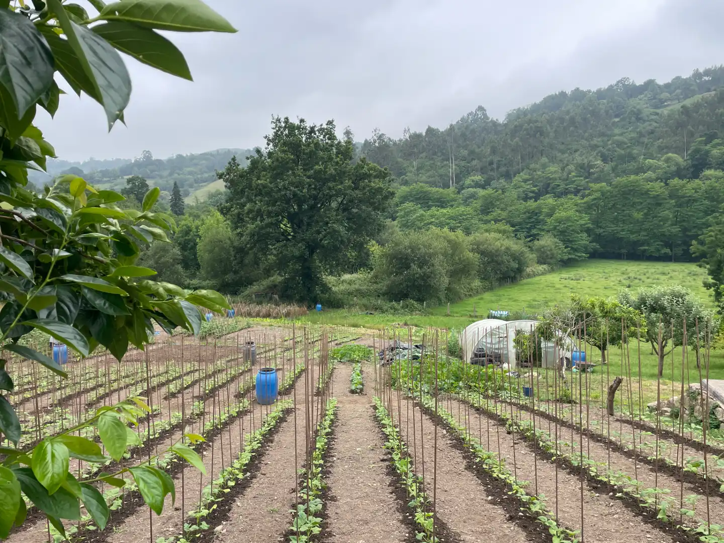 Jardí de Casa o xalet en venda en Gijón  amb Calefacció, Jardí privat i Parquet