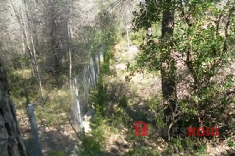 Grundstücke zum Verkauf in Olivella