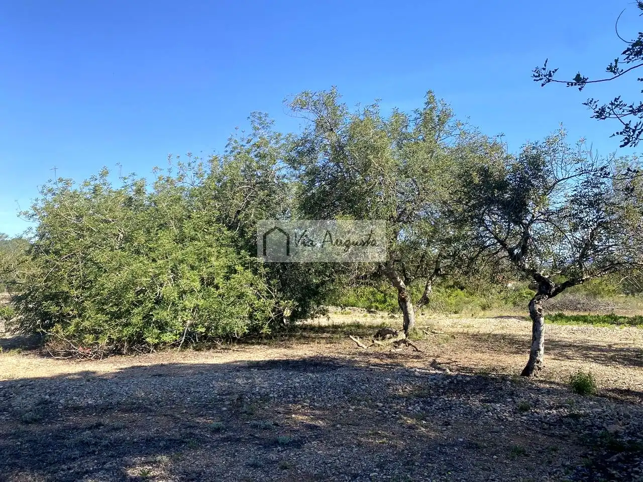 Terreno rustico in vendita a Rabasada, imagen 12
