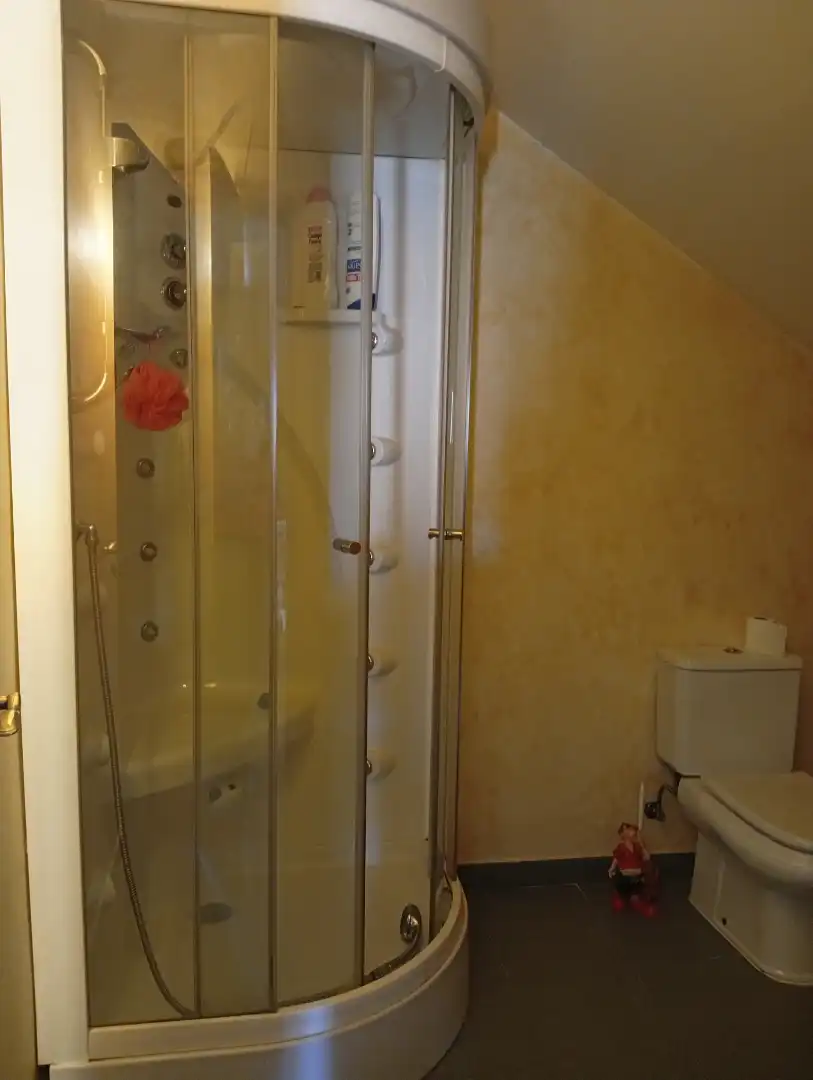 Casa a schiera con piscina in vendita a El Perchel, imagen 25