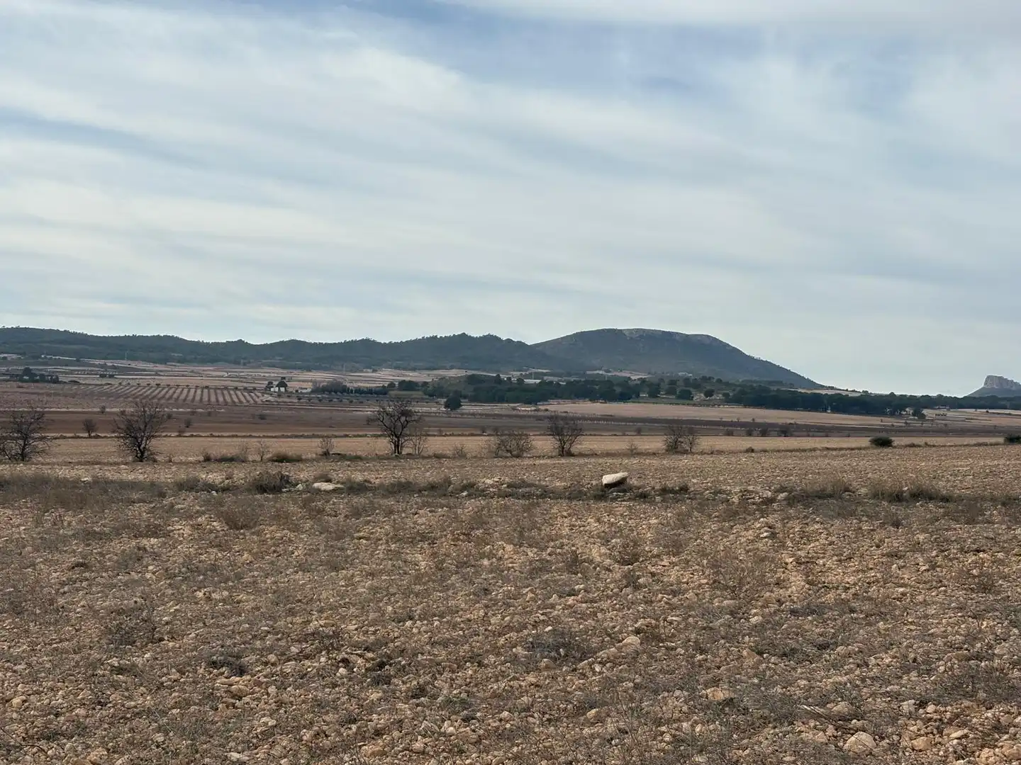 Finca rústica en venta en Ontur