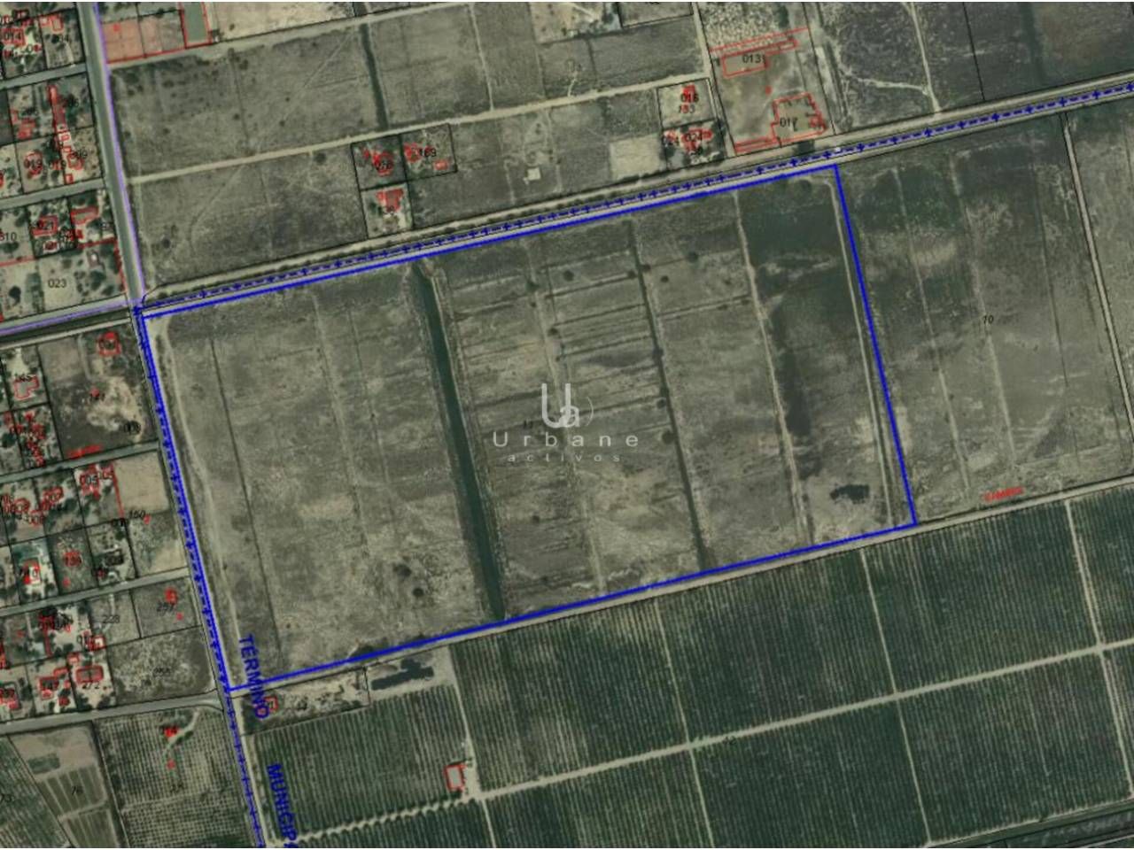 Land for sale in Elche / Elx