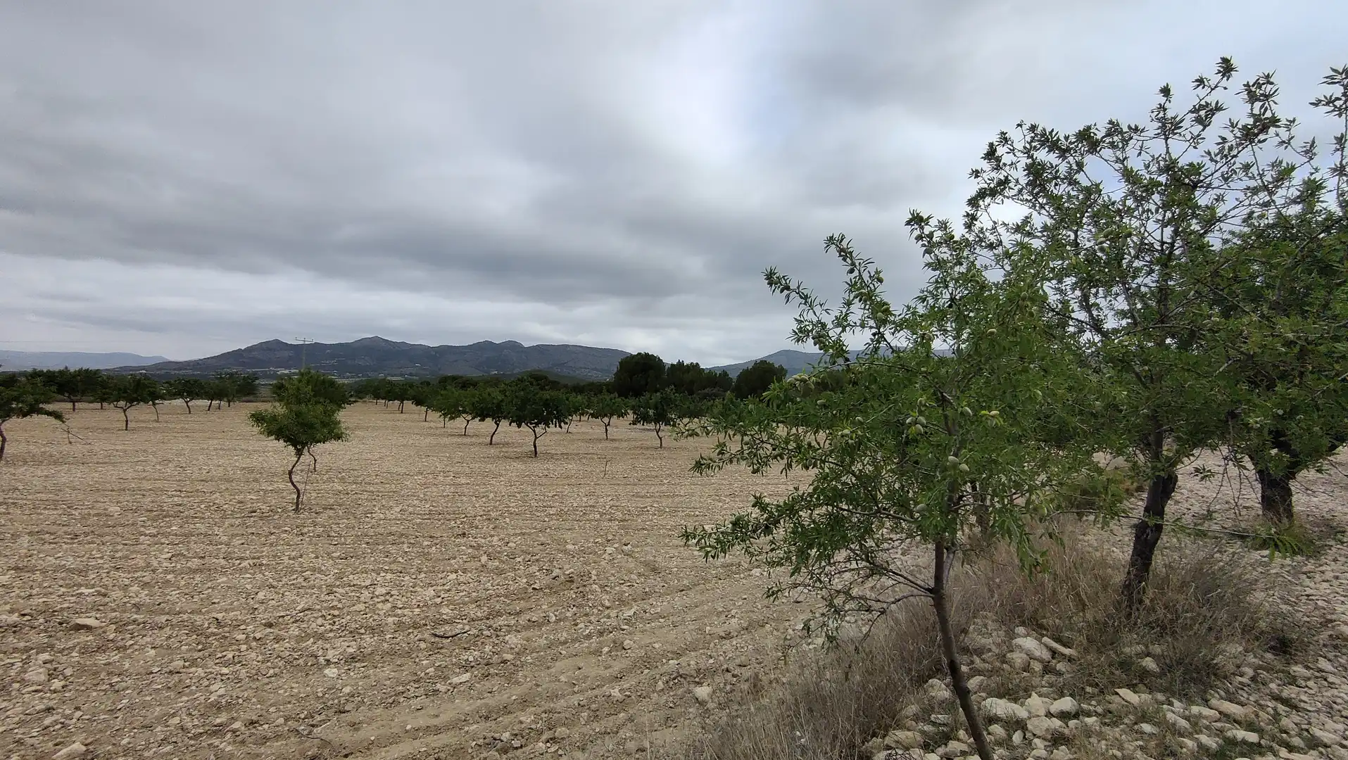 Terreno rustico in vendita a Plaça Poligono 3 271, imagen 7