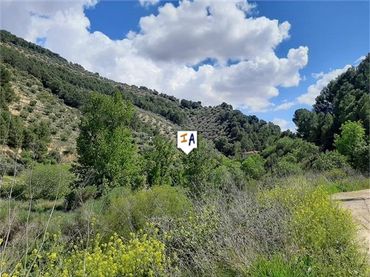 Terrenys i solars en venda a Montefrío