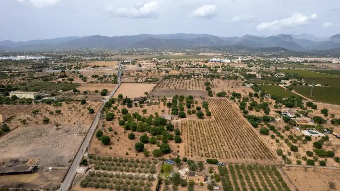 Land for sale in Consell