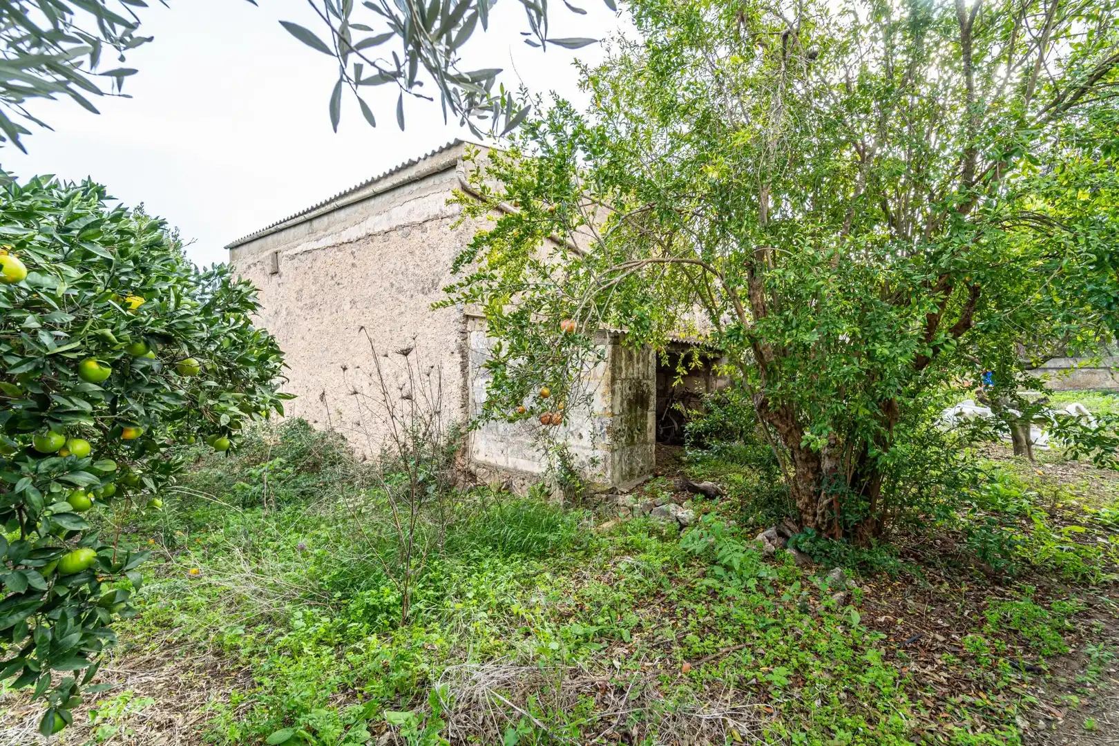 Maison rustique avec jardin à vendre à Son Servera Poble, imagen 28