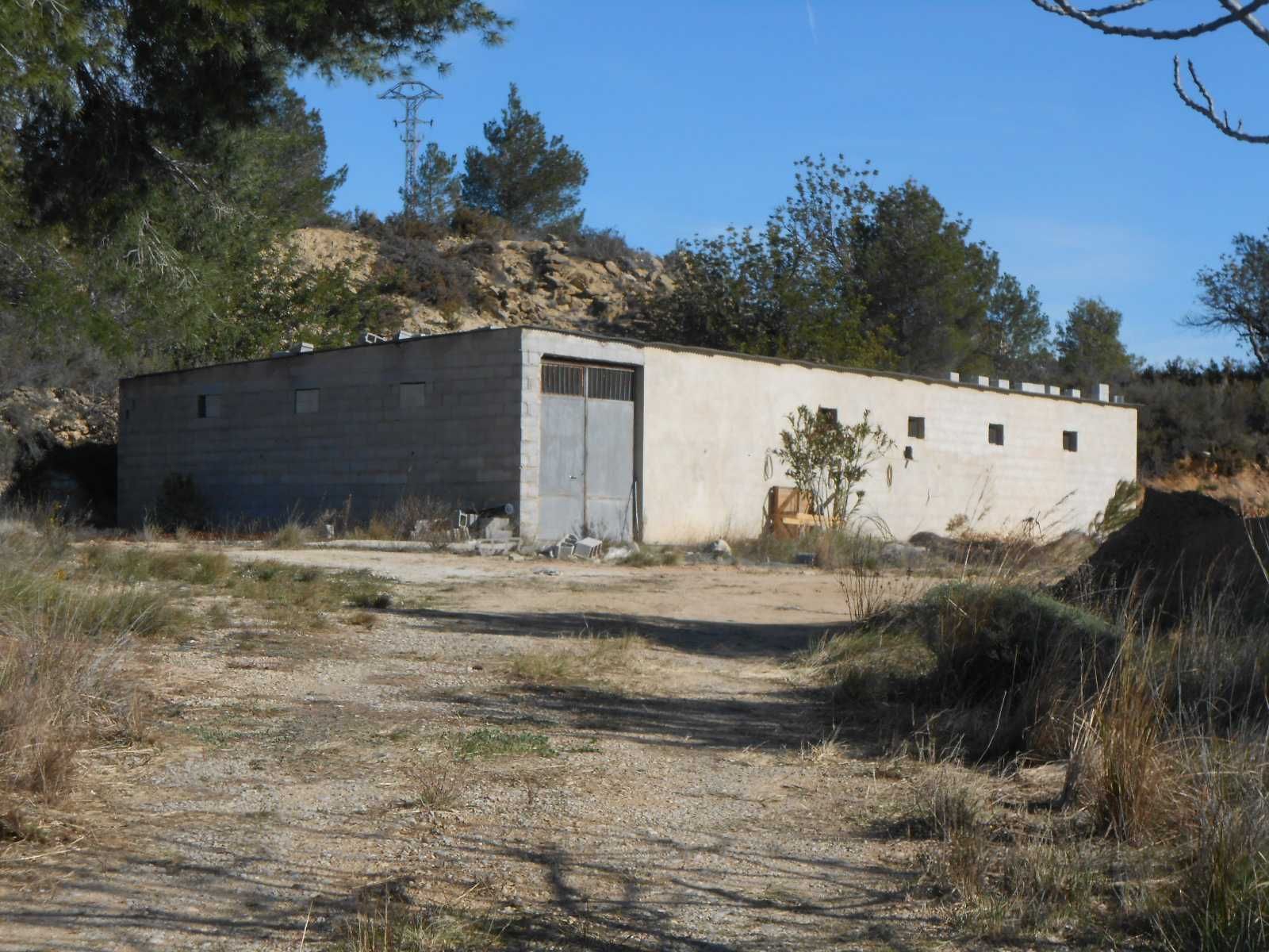 Nau industrial en venda a Turís