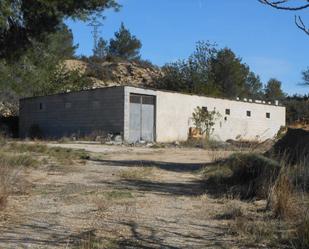 Industrial buildings for sale in Turís