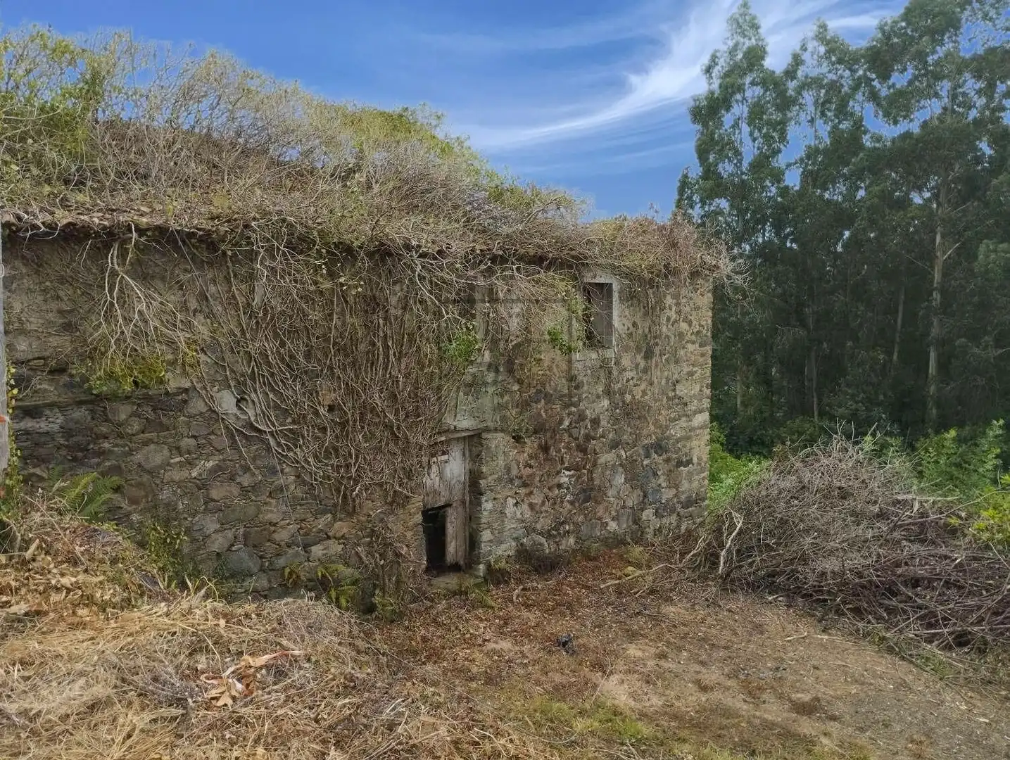 Vista exterior de Casa o xalet en venda en Cerdido amb Jardí privat