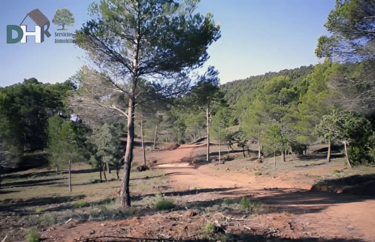 Terreni e lotti in vendita a San Fernando - Carretera de Valencia, imagen 7