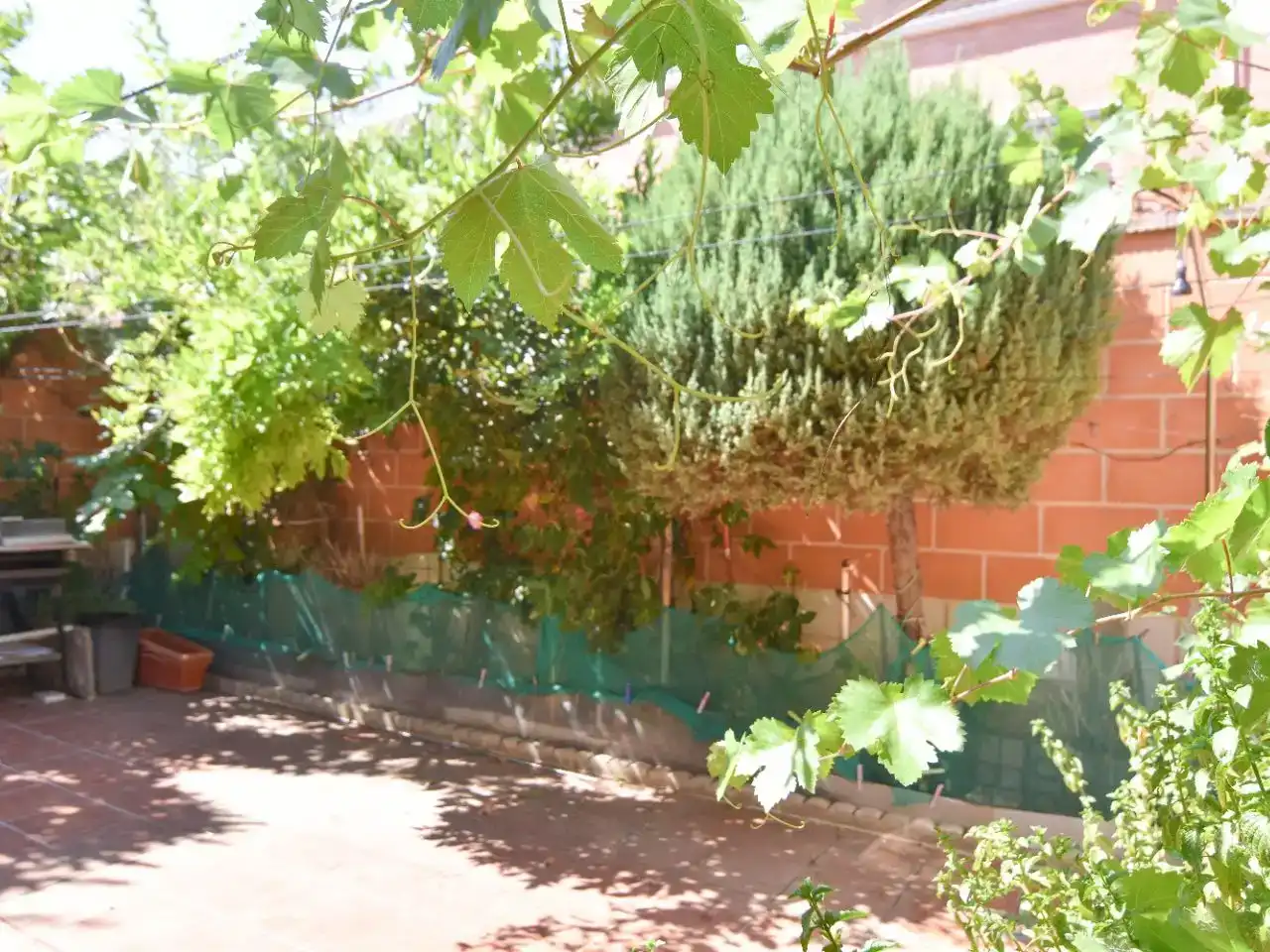 Garden of Flat for sale in Alovera