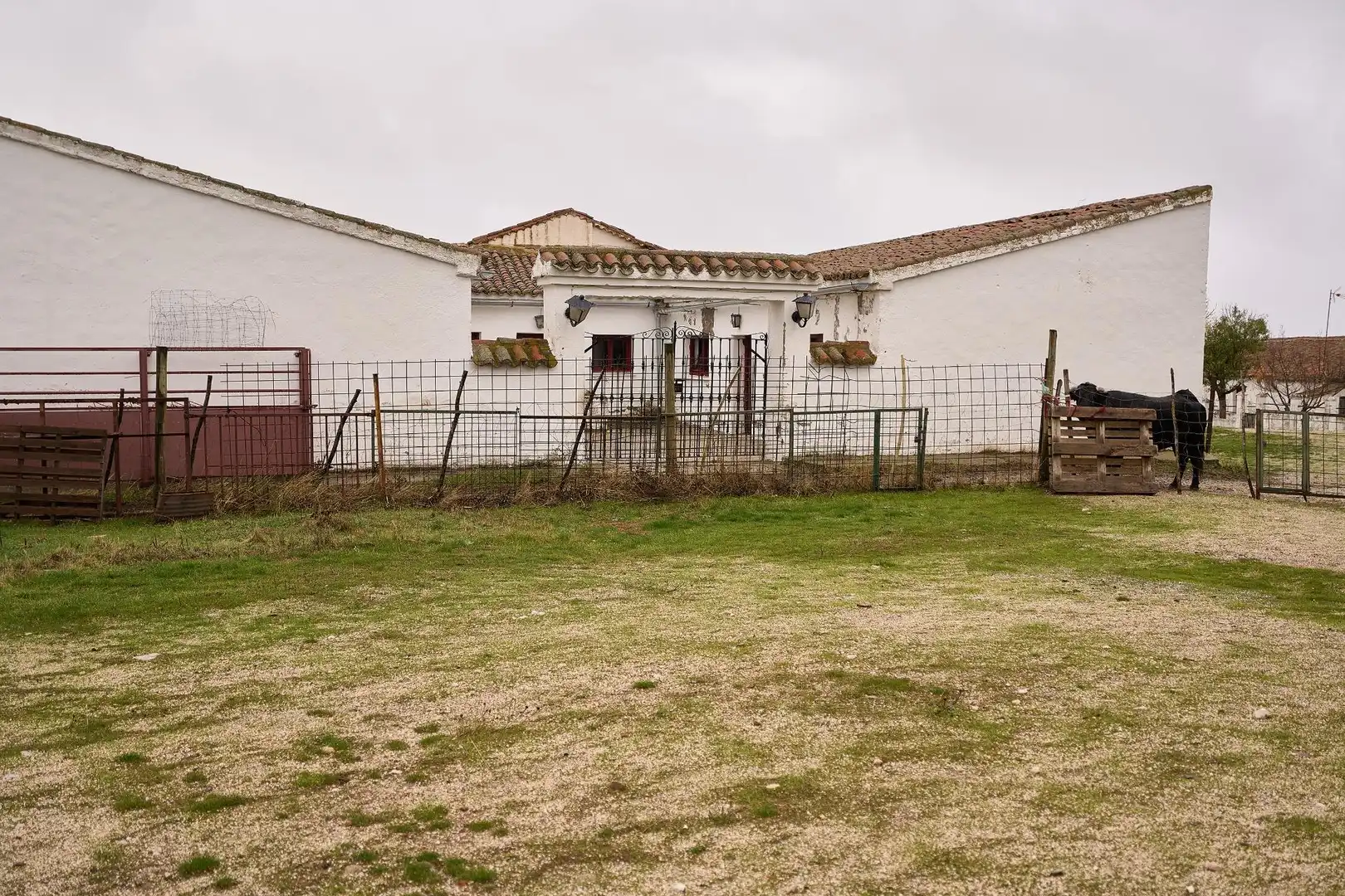 Vista exterior de Finca rústica en venta en Horcajo Medianero