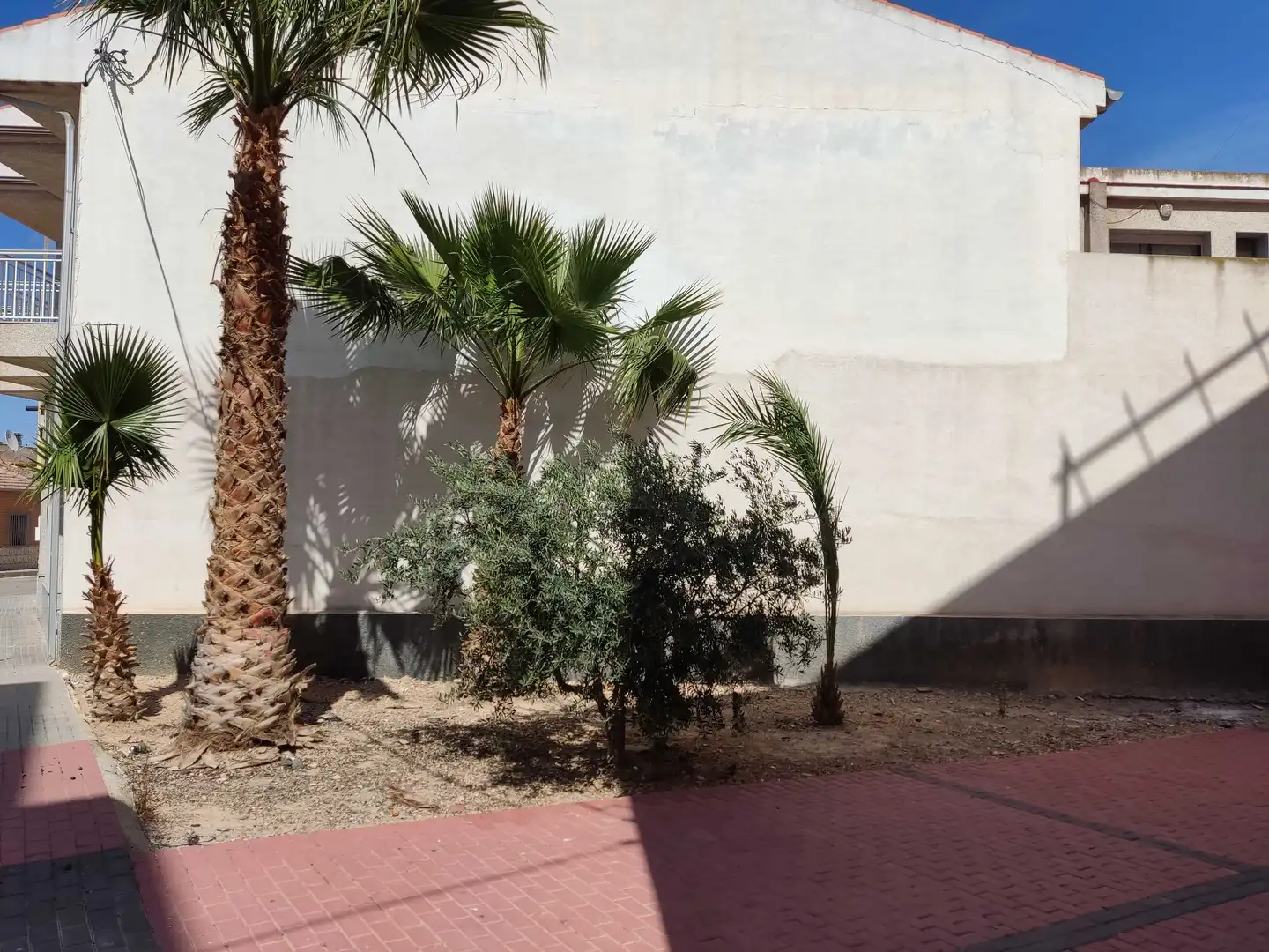 Garten von Büro zum Verkauf in Murcia