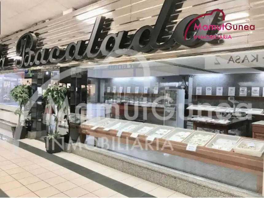 Locale commerciale in vendita a Oiartzun