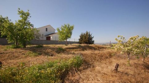 TERRENY XAMFRANER PER FERSE UN XALET A LESPELT, immagine 3