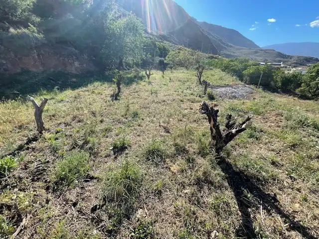 Terreno rústico en venta en Paraje los Molinicos 1, imagen 4