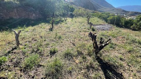 Venta de Parcela en Huecija, Economica!!, immagine 4