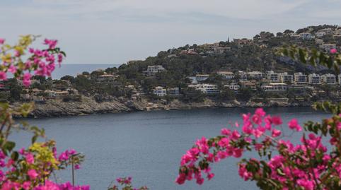 Foto 4 von Wohnungen zum Verkauf in Port d'Andratx, Andratx