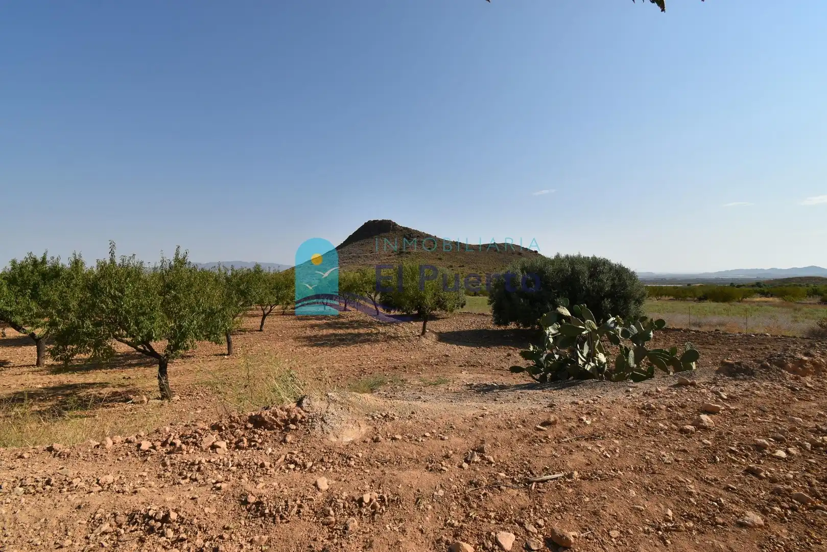 Terrenys i solars en venda a Mazarrón Casco Urbano, imagen 15