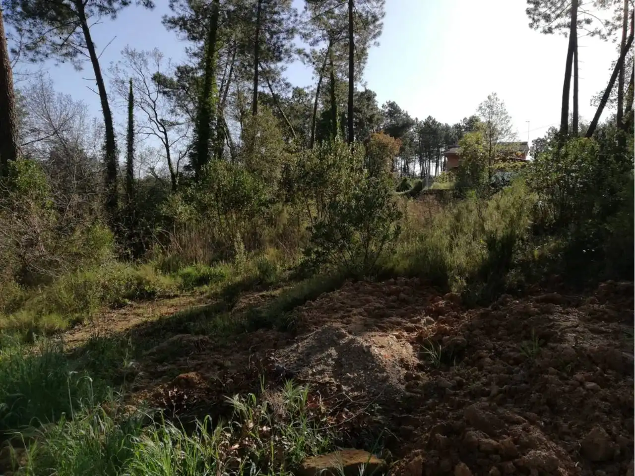 Wohnbaugrundstück zum Verkauf in Calle santa barbara