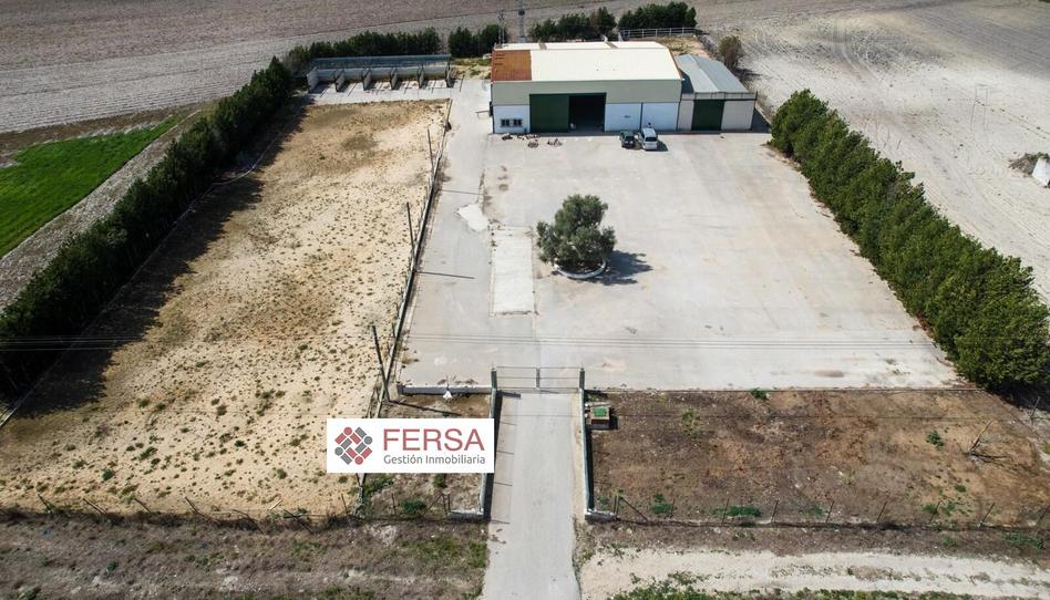 Photo 1 of Industrial buildings to rent in Carretera de Sanlúcar - Sudamérica, Cádiz