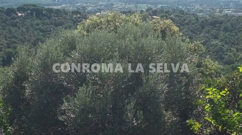 Espectacular Terreno con vistas al Mar, immagine 4