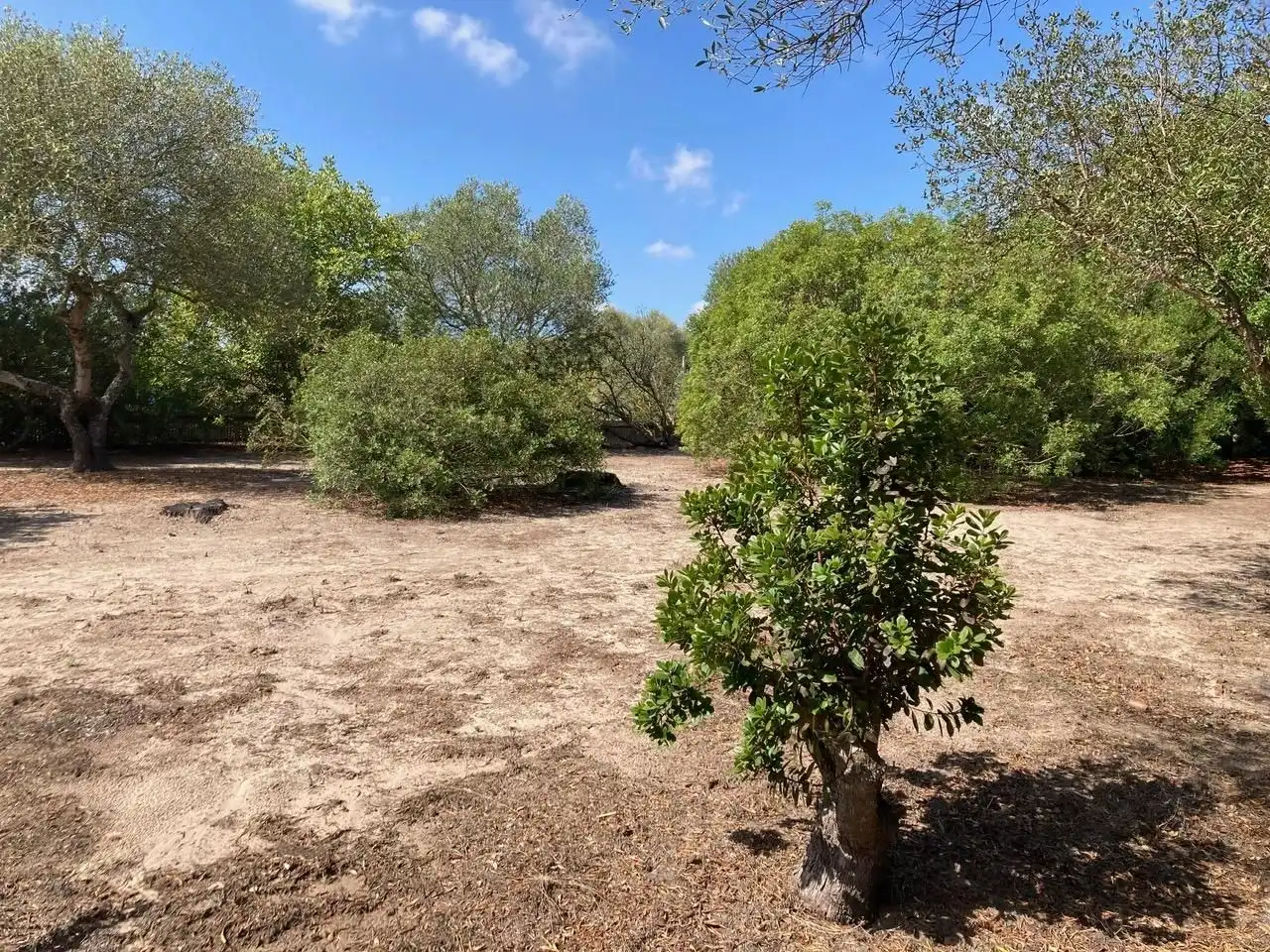 Terrain rustique à vendre à Vereda de Cantarranas 1, imagen 16