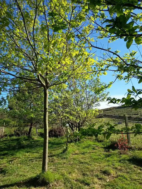 Rural land for sale in N/A, imagen 3