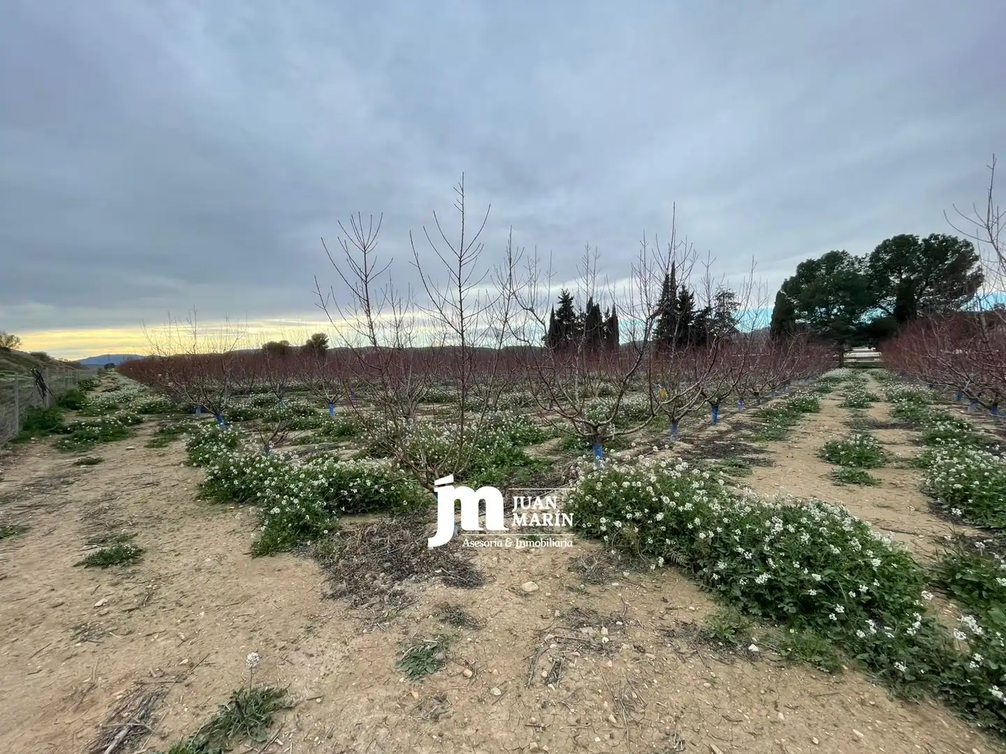 Finca rústica en venda en Abarán amb Aire condicionat, Traster i Piscina