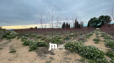 Foto 5 de Finca rústica en venda a Abarán, Murcia