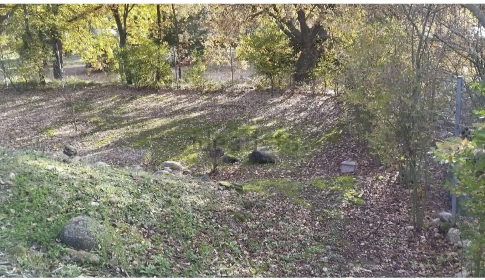 Terreno rústico en venta en Entrena, imagen 15