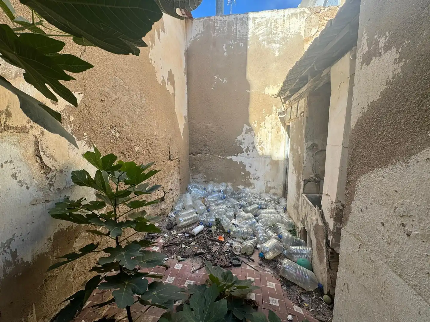 Vista exterior de Casa o xalet en venda en Almoradí amb Balcó