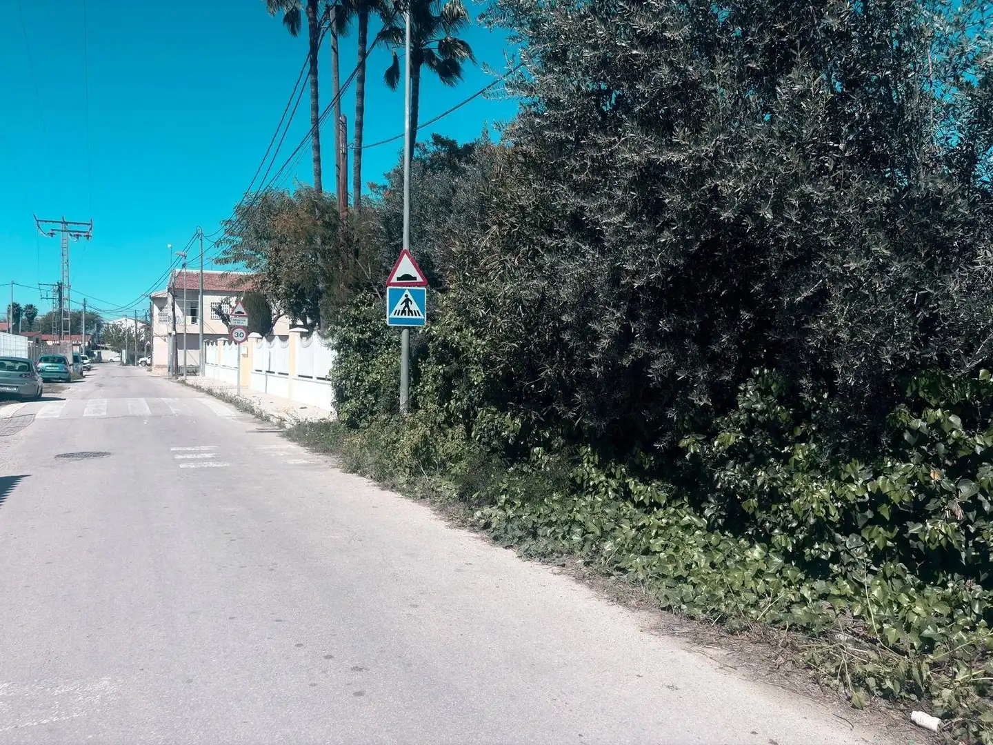Terreny rústic en venda a Pedanías Norte, imagen 4