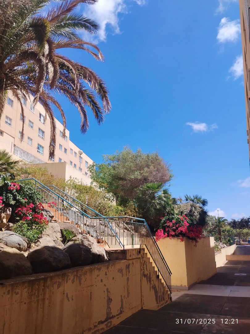 Vista exterior de Pis en venda en Las Palmas de Gran Canaria amb Aire condicionat, Traster i Moblat
