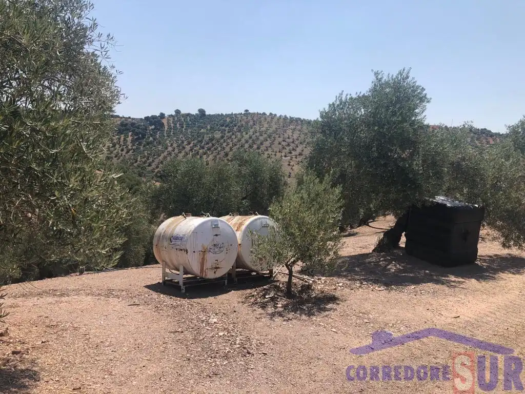 Vista exterior de Finca rústica en venta en Montoro