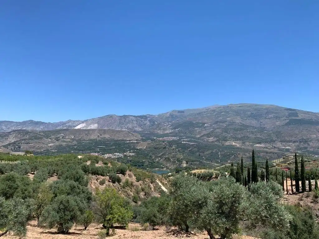 Terreno residencial en venta en Las Flores - Huerta, imagen 17