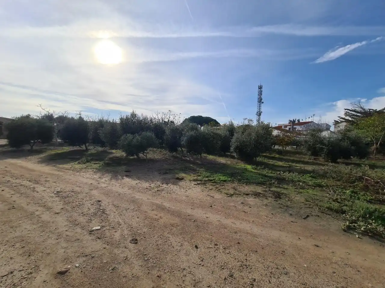 Terrain rustique à vendre à Riudoms, imagen 3