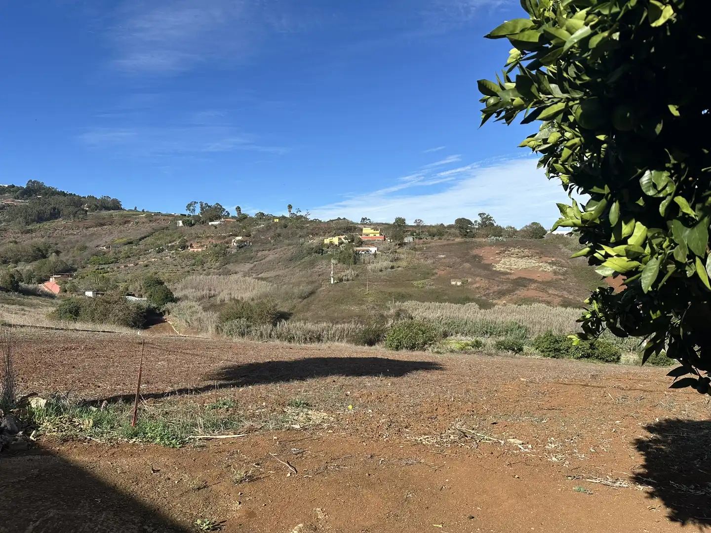 Finca rústica en venta en Santa María de Guía de Gran Canaria