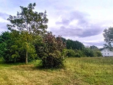 Terreno residenziale in vendita a Cerca de El Franco